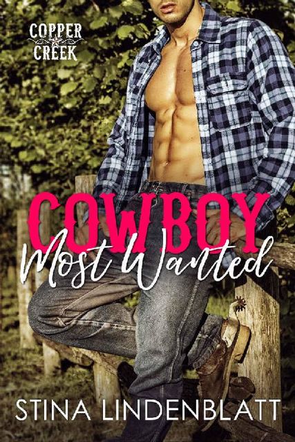 Cowboy Most Wanted (Copper Creek Book 1), Stina Lindenblatt