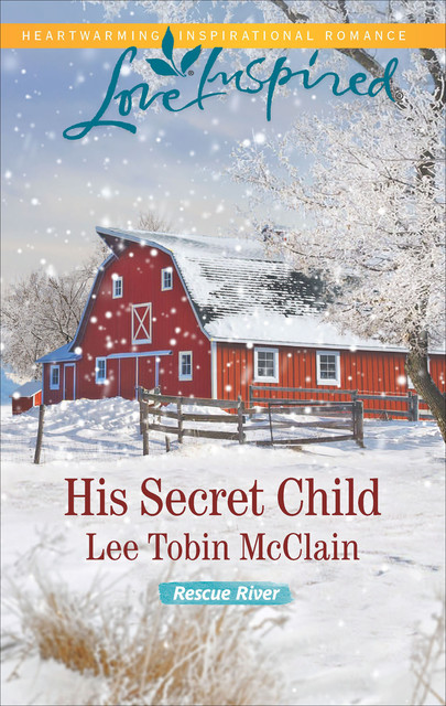 His Secret Child, Lee Tobin McClain