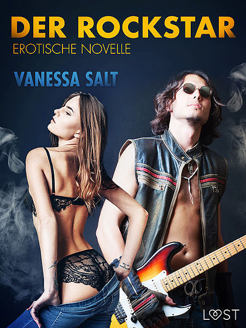 Der Rockstar: Erotische Novelle, Vanessa Salt