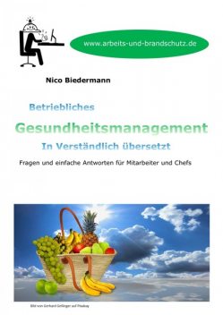 Betriebliches Gesundheitsmanagement in Verständlich übersetzt, Nico Biedermann