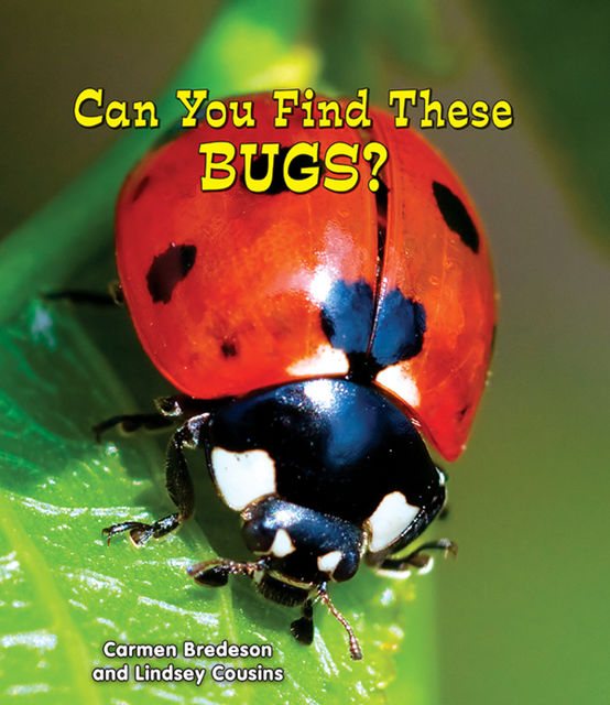 Can You Find These Bugs?, Carmen Bredeson, Lindsey Cousins