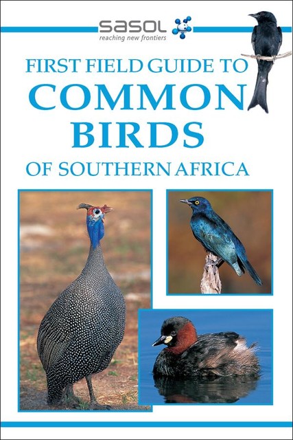 First Field Guide to Common Birds of Southern Africa, Tracey Hawthorne