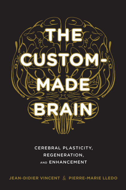 The Custom-Made Brain, Jean-Didier Vincent, Pierre-Marie Lledo