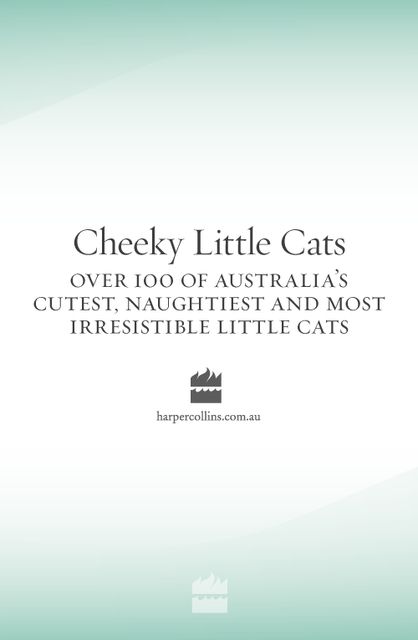 Cheeky Little Cats, Various