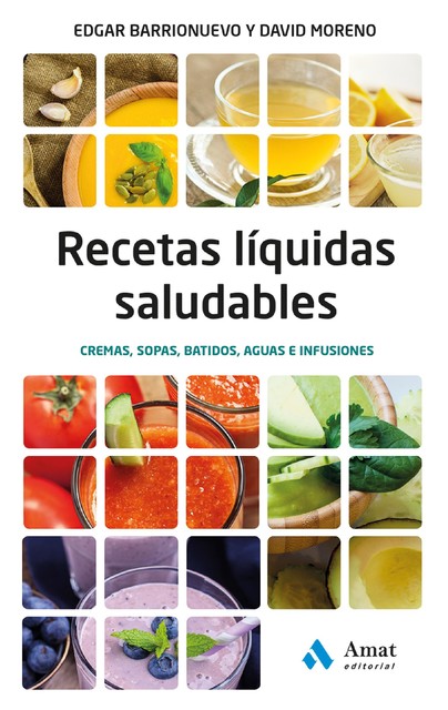 Recetas liquidas saludables, David Moreno Meler, Edgar Barrionuevo Burgos