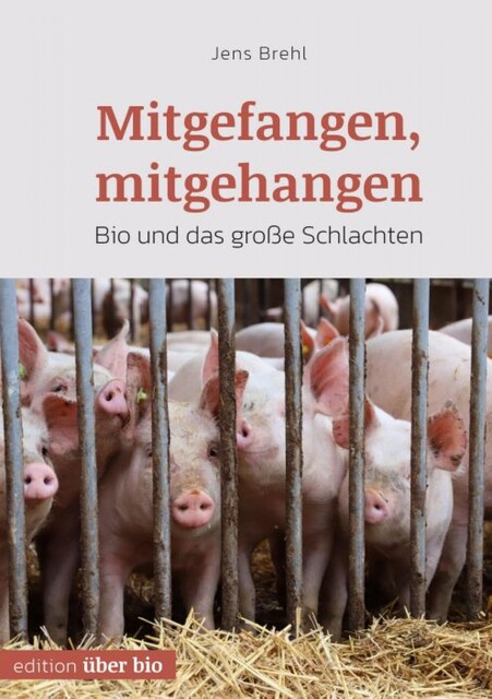 Mitgefangen, mitgehangen, Jens Brehl