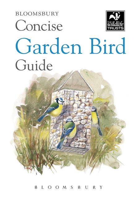 Concise Garden Bird Guide, Bloomsbury Publishing