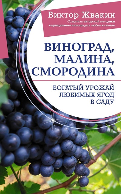 Виноград, малина, смородина. Богатый урожай любимых ягод в саду, Виктор Жвакин