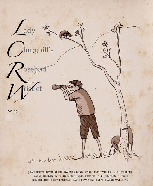 Lady Churchill's Rosebud Wristlet No. 27, Carol Emshwiller, Joan Aiken