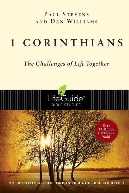 1 Corinthians, Kelly R. Stevens