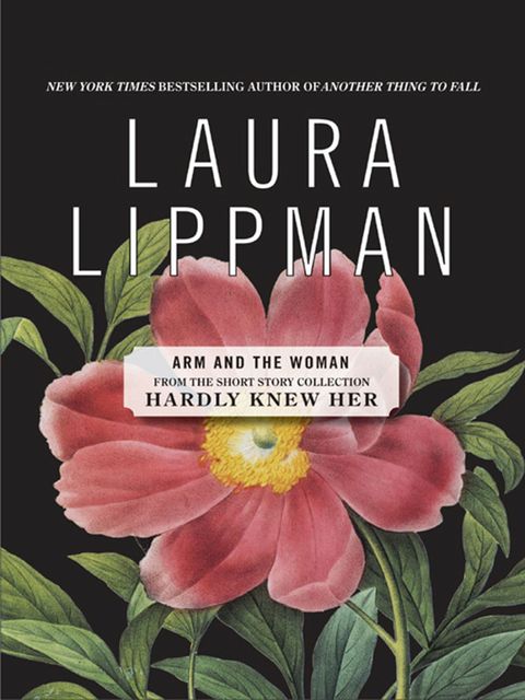 ARM and the Woman, Laura Lippman