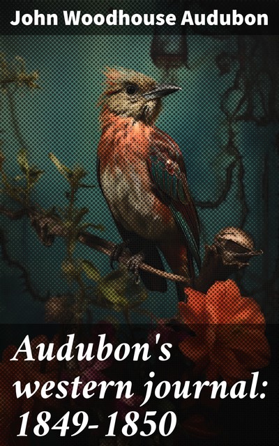 Audubon's western journal: 1849–1850 Being the MS. record of a trip from New York to Texas, and an overland journey through Mexico and Arizona to the gold-fields of California, John Woodhouse Audubon, Maria Rebecca Audubon