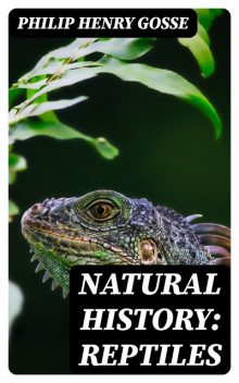 Natural History: Reptiles, Philip Henry Gosse