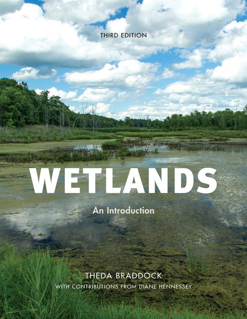 Wetlands, Theda Braddock, Dianne Hennessey