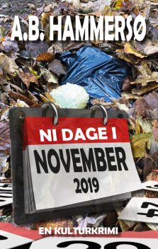 Ni dage i november 2019, A.B. Hammersø