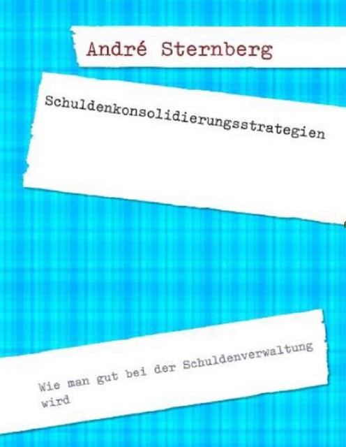 Schuldenkonsolidierungsstrategien, André Sternberg