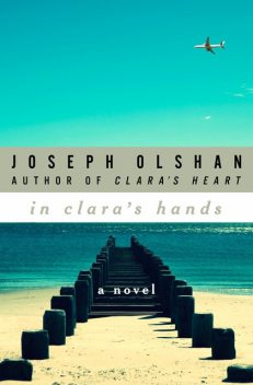 In Clara's Hands, Joseph Olshan