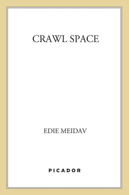 Crawl Space, Edie Meidav