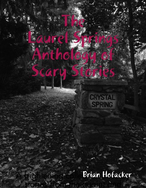 Laurel Springs Anthology of Scary Stories, Brian Hofacker