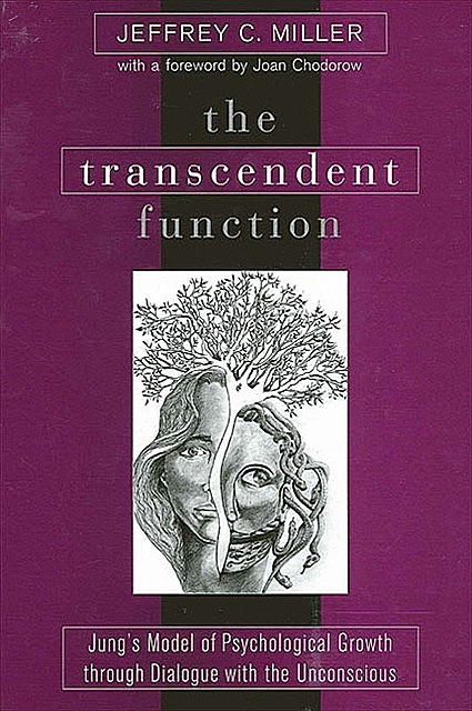 Transcendent Function, The, Jeffrey Miller