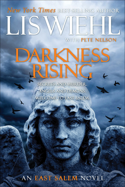 Darkness Rising, Lis Wiehl, Pete Nelson