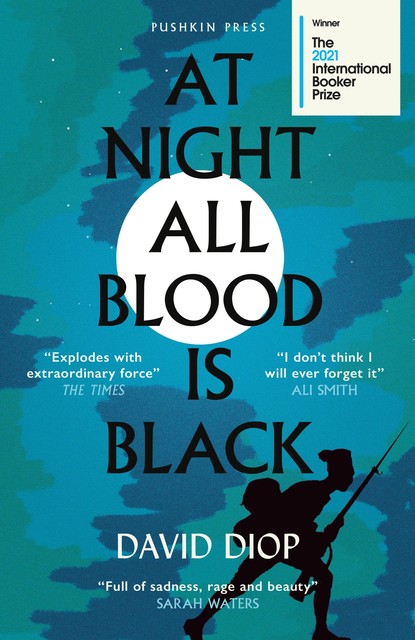 At Night All Blood Is Black, David Diop