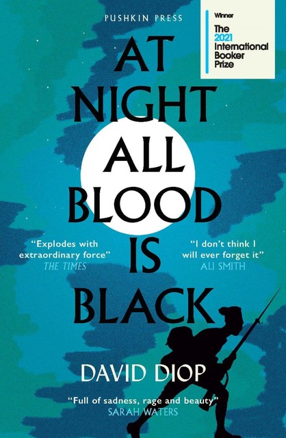 At Night All Blood Is Black, David Diop