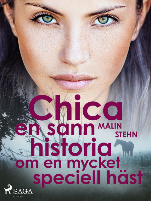 Chica : en sann historia om en mycket speciell häst, Malin Stehn