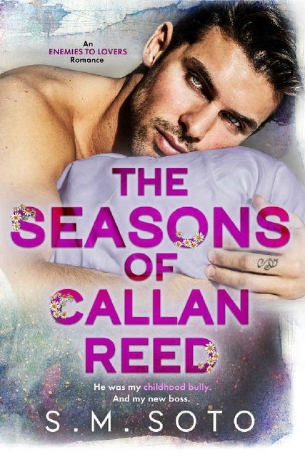 The Seasons of Callan Reed: An Enemies-to-Lovers Office Romance, S.M. Soto