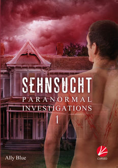 Paranormal Investigations 1: Sehnsucht, Ally Blue