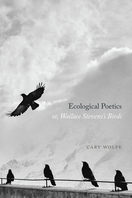 Ecological Poetics; or, Wallace Stevens’s Birds, Cary Wolfe