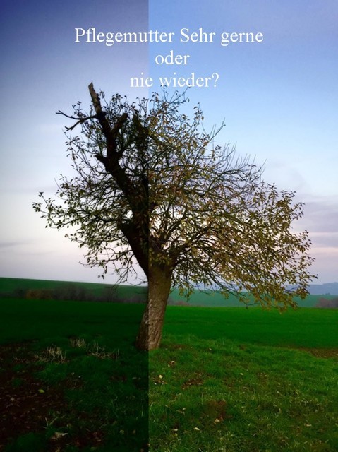 Pflegemutter – Sehr gerne oder nie wieder, Wilma Georg
