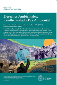 Derechos Ambientales, conflictividad y paz ambiental, Gregorio Mesa Cuadros, Luis Fernando Sánchez Supelano, Beatriz Elena Ortiz Gutiérrez, Carlos Edua, Diana Carolina Rodríguez Ávalo, Grupo de Investigación en Derechos Colectivos y Ambientales, Isabel Villaseca Bioxareu, María Alejandra Erazo Romero