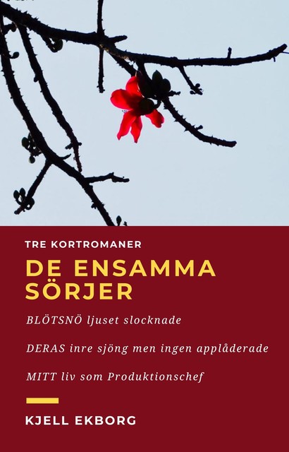 Tre Kortromaner, de ensamma sörjer, Kjell Ekborg