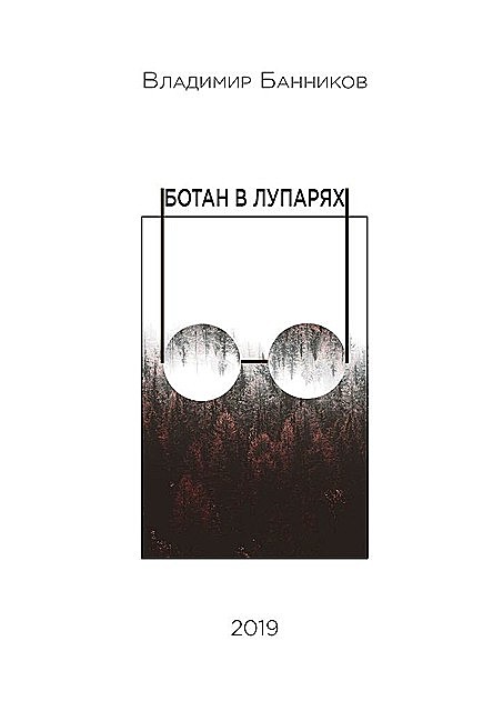 Ботан в лупарях, Владимир Банников