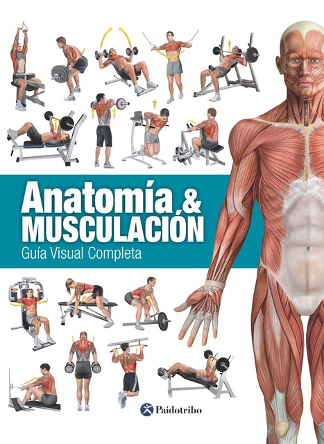 Anatomía & musculación, Ricardo Cánovas Linares