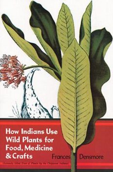 How Indians Use Wild Plants for Food, Medicine & Crafts, Frances Densmore