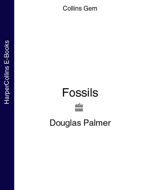 Fossils, Douglas Palmer