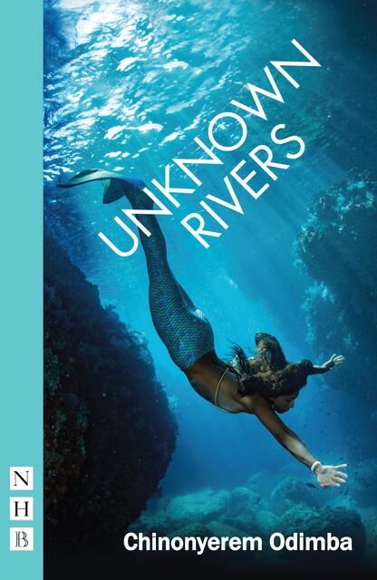 Unknown Rivers, Chinonyerem Odimba