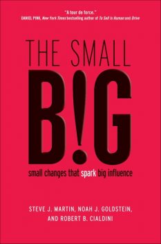 The Small BIG, Роберт Чалдини, Robert B., Steve, Robert Martin, Noah, Goldstein