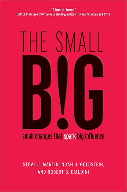 The Small BIG, Роберт Чалдини, Robert B., Steve, Robert Martin, Noah, Goldstein