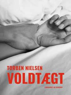 Voldtægt, Torben Nielsen