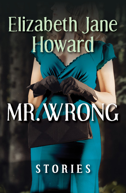 Mr Wrong, Elizabeth Howard