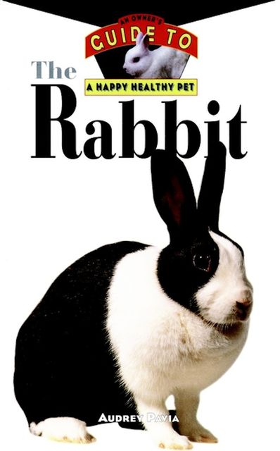 The Rabbit, Audrey Pavia
