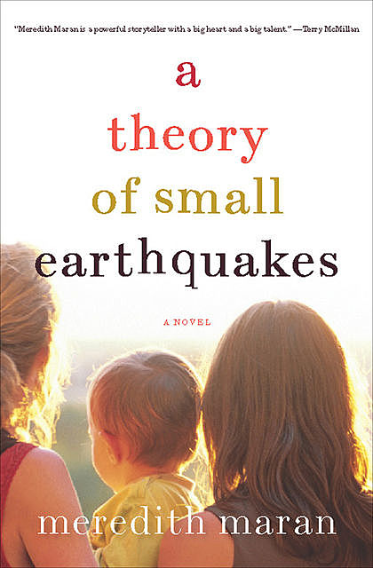 A Theory of Small Earthquakes, Meredith Maran