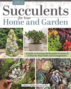 Succulents for Your Home and Garden, Gideon Smith, Jessica Surface