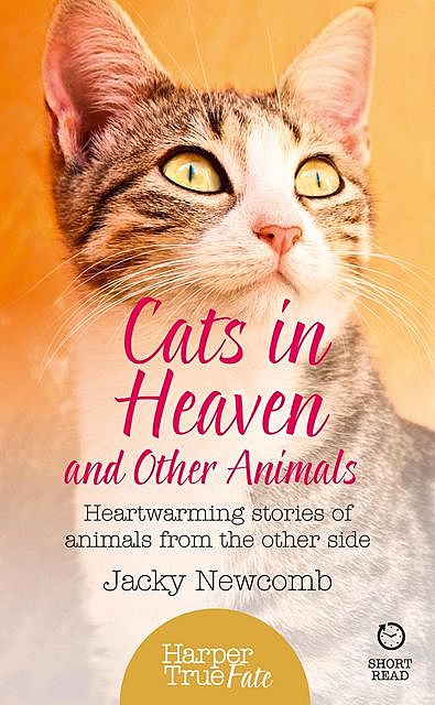 Cats in Heaven, Jacky Newcomb