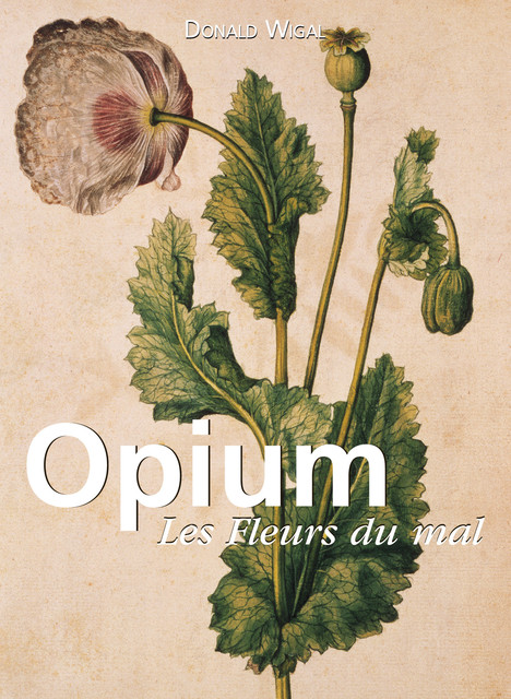 Opium. Les Fleurs du mal, Donald Wigal