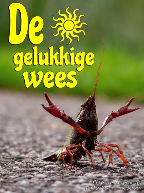 De gelukkige wees, Geertje Geerlings