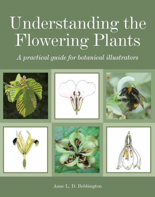 Understanding the Flowering Plants, Anne Bebbington